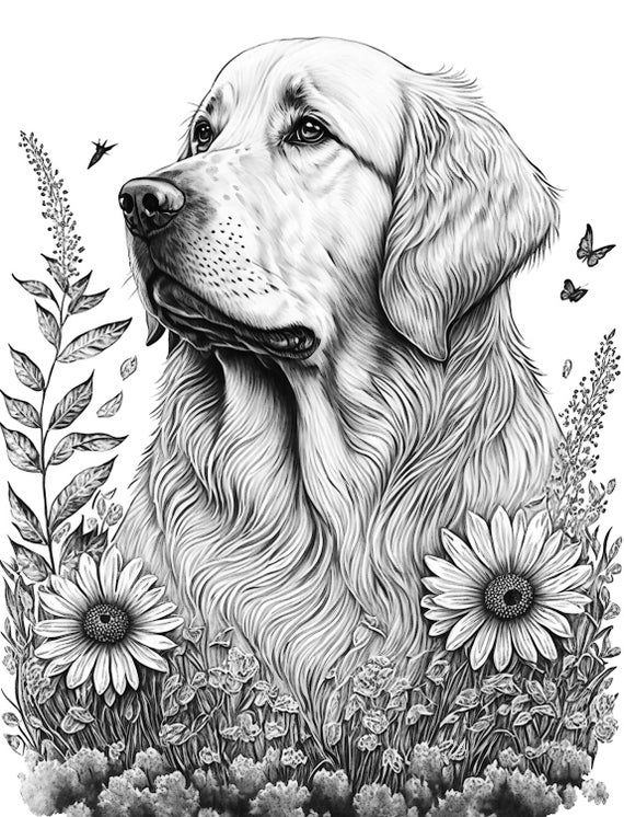 golden retriever dog coloring pages