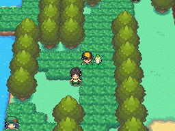 route 43 heartgold