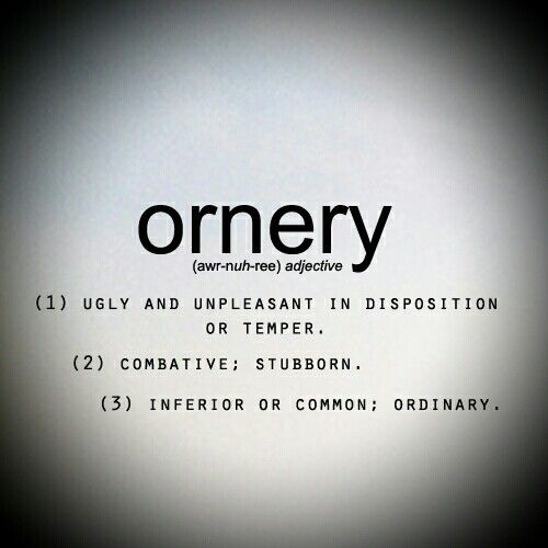 ornery meaning