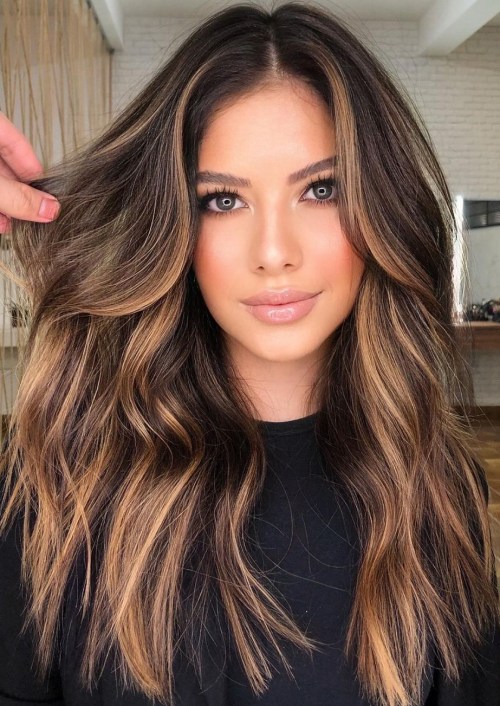 hair highlights black and blonde