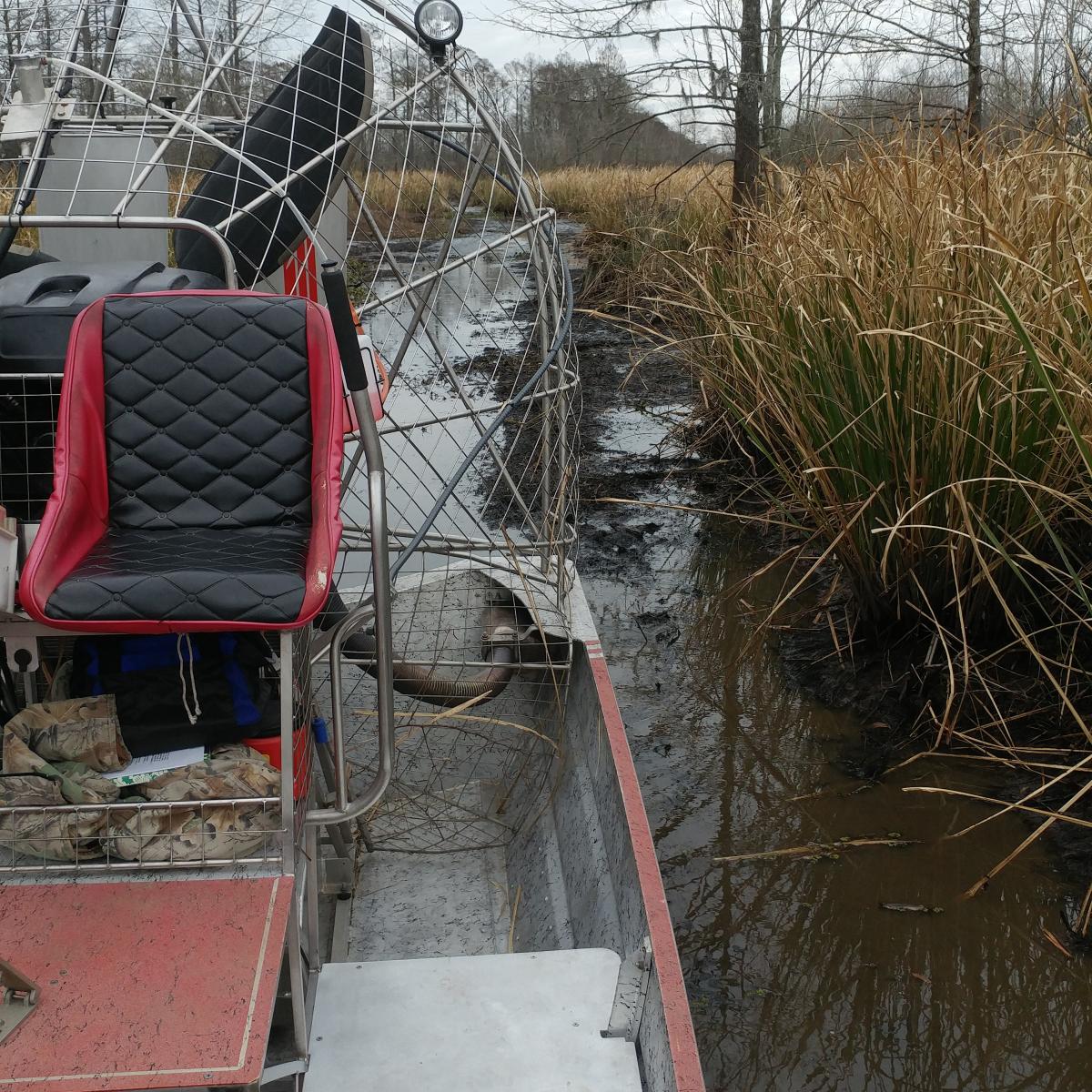 dragon lady airboats