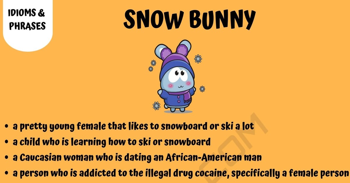 snow bunny definition