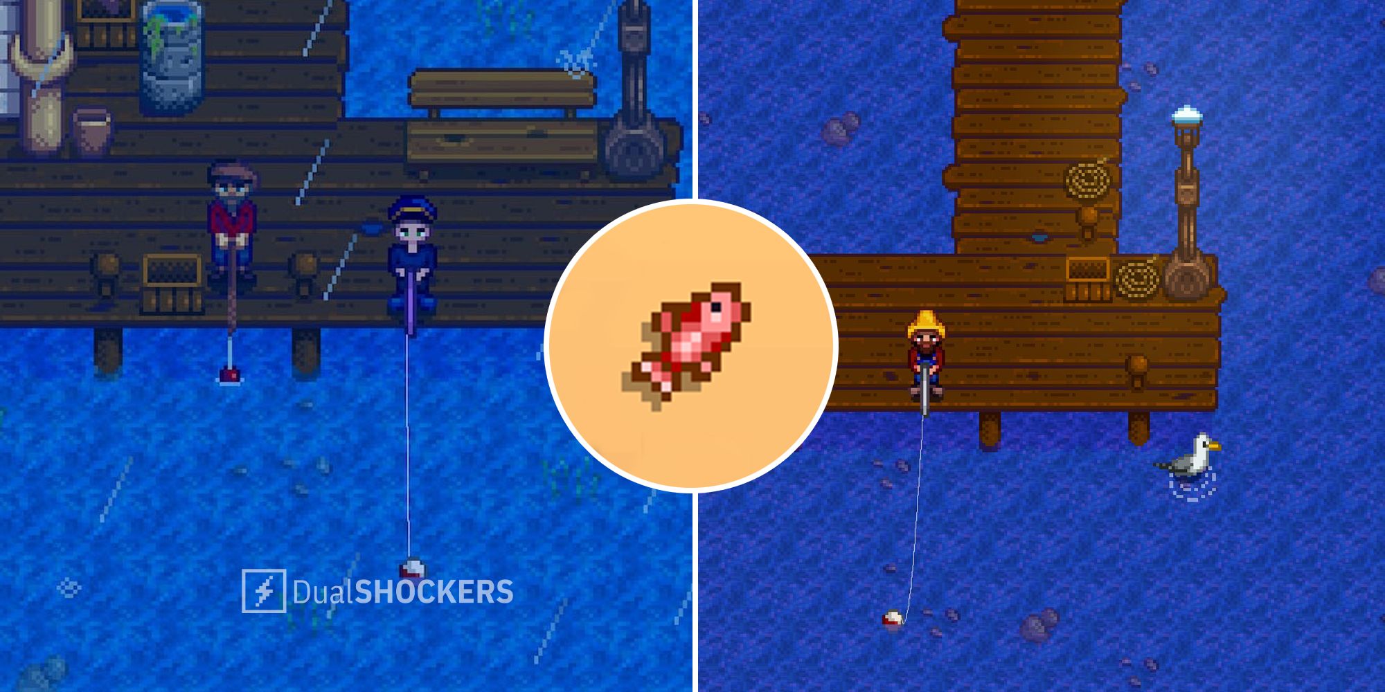 stardew valley red snapper