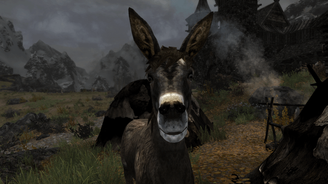 skyrim donkey