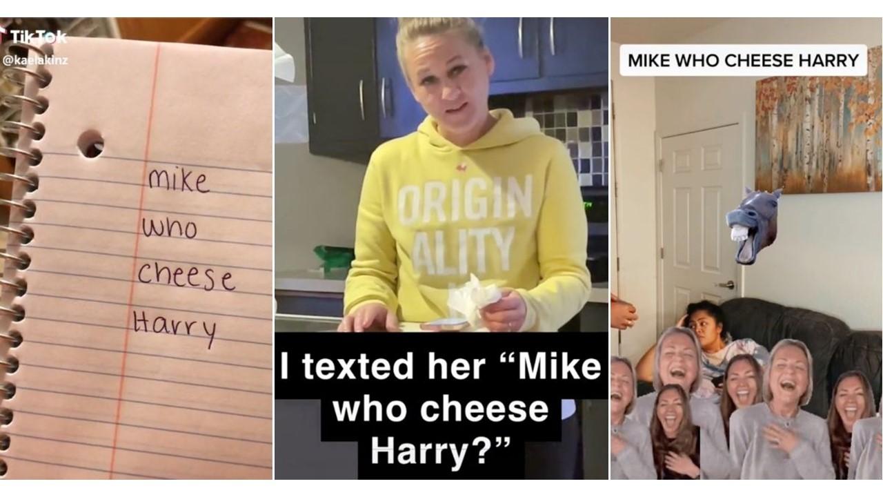 mike who cheese harry meaning