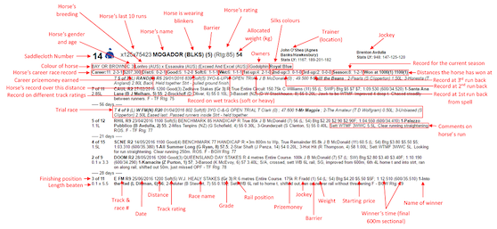 uk horse racing form guide