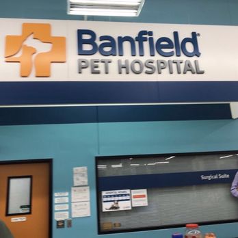 banfield johnston ri