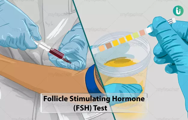 follicle stimulating hormone in hindi