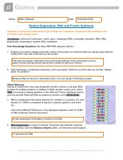 student exploration rna and protein synthesis