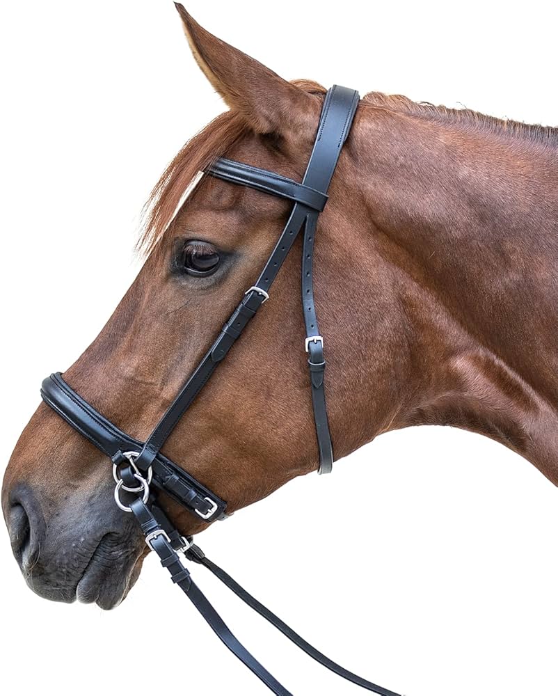 bitless bridle uk