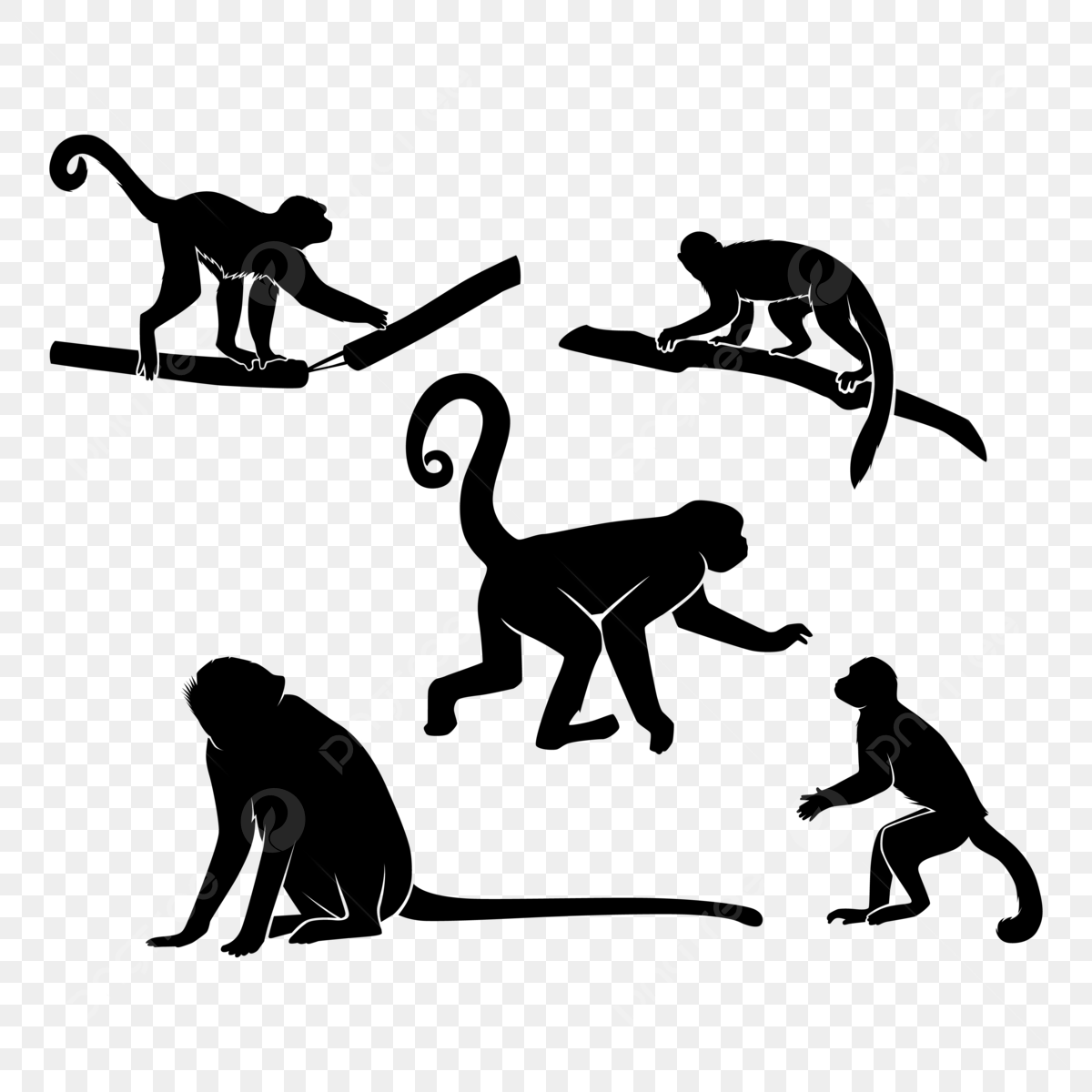 monkey silhouette png