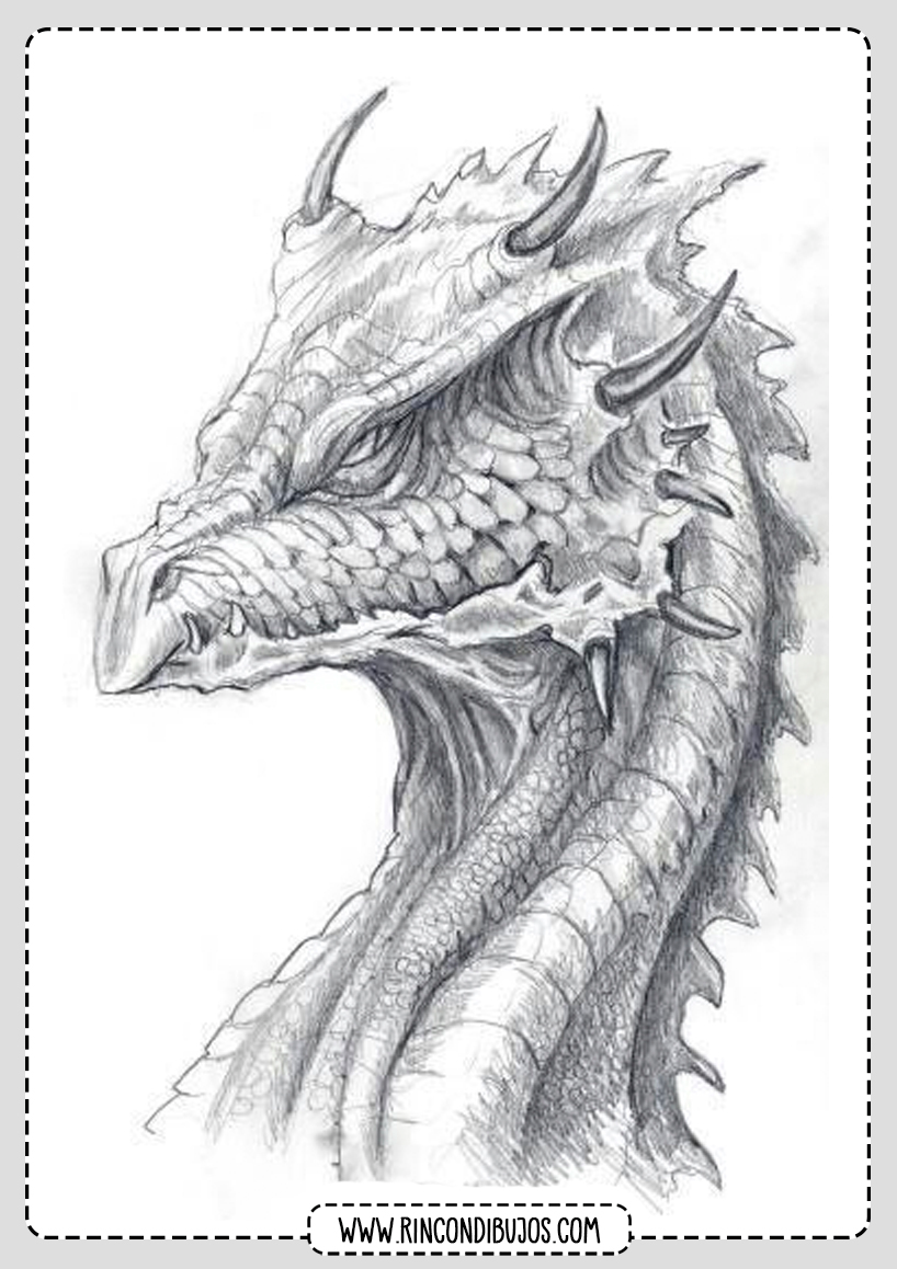 dibujo de dragon realista