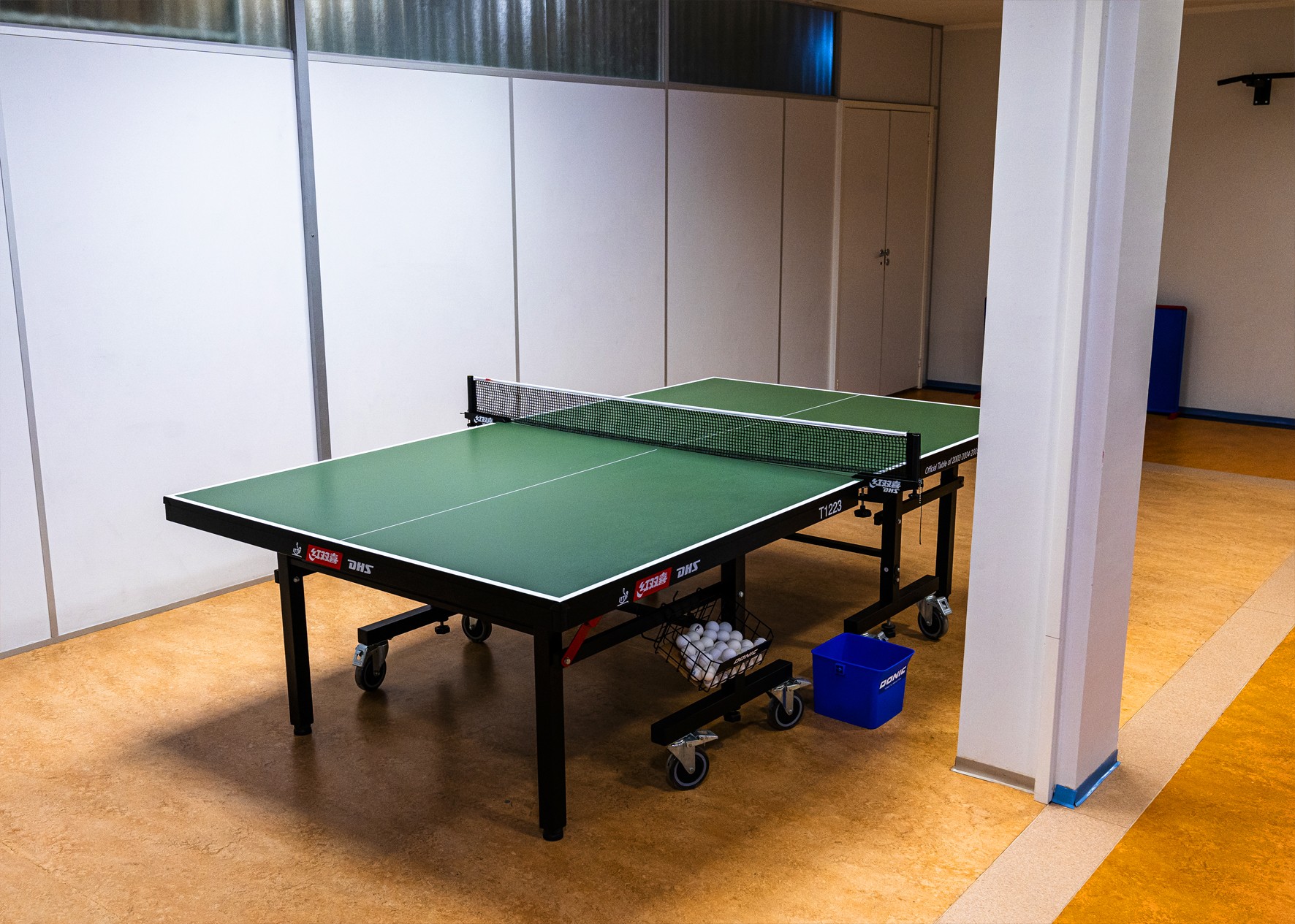 table tennis11