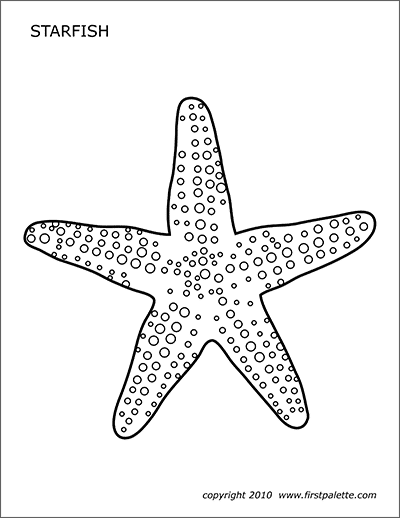 starfish template to print