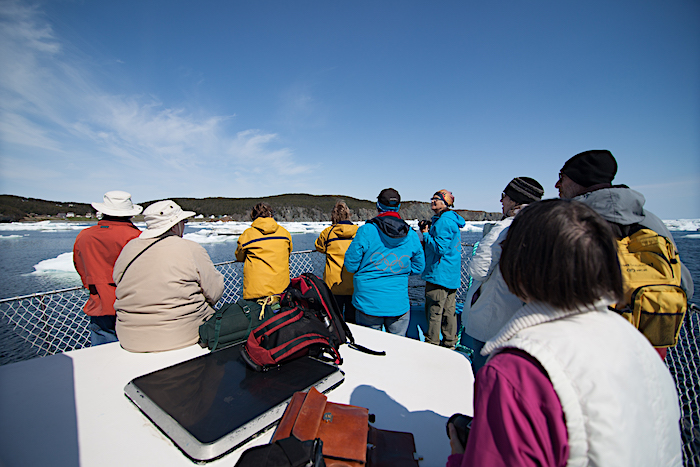 boat tours twillingate