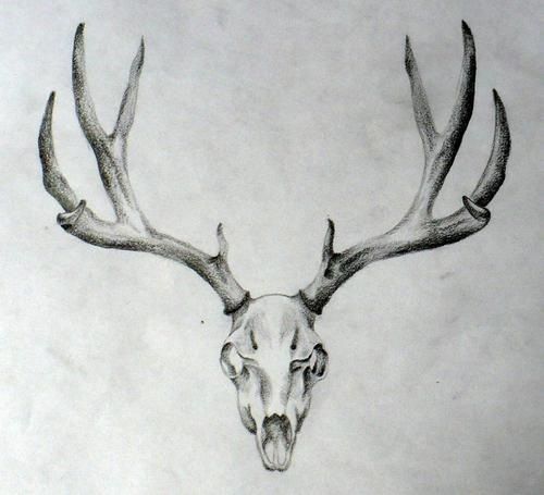 tattoo deer head