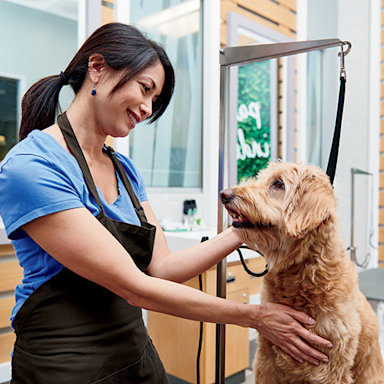 petco grooming hours