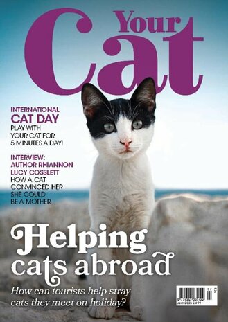 dcat magazine