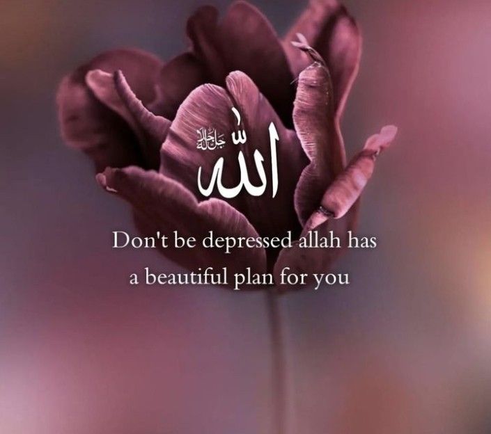 islamic quotes for whatsapp dp