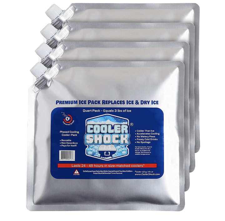 ice packs for coolers