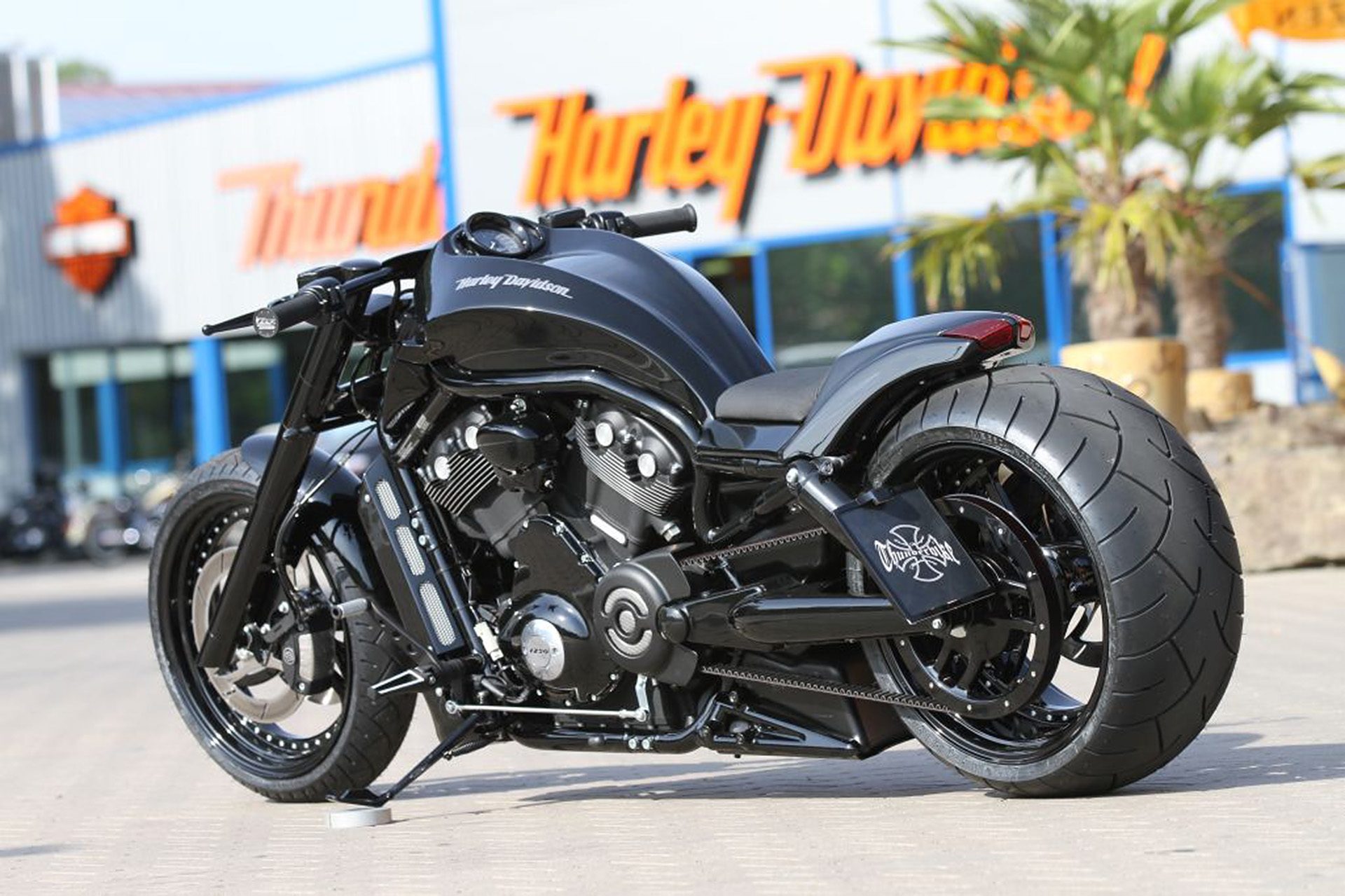 harley davidson night rod