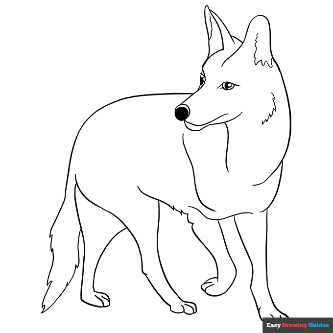 coyote coloring page