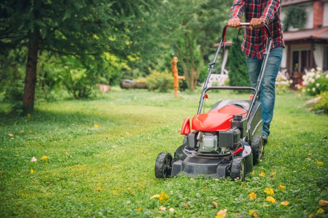 lawn mowing for sale