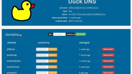 duck dns alternatives