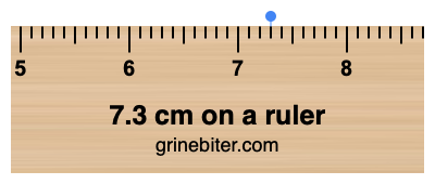 7.3 inches in cm