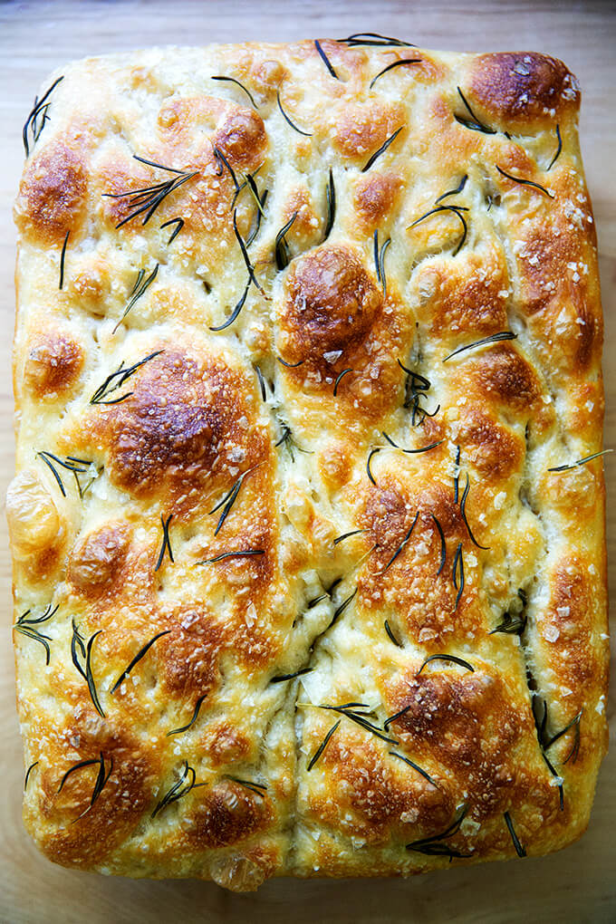 focaccia iş başvurusu