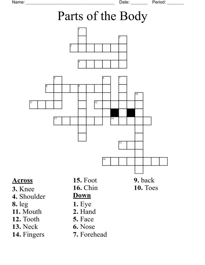 body part tree crossword clue