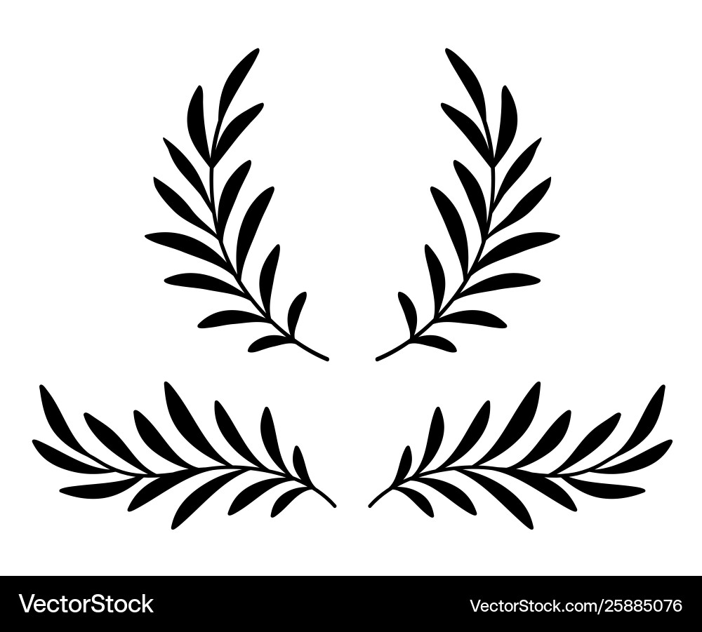 olive branch vector