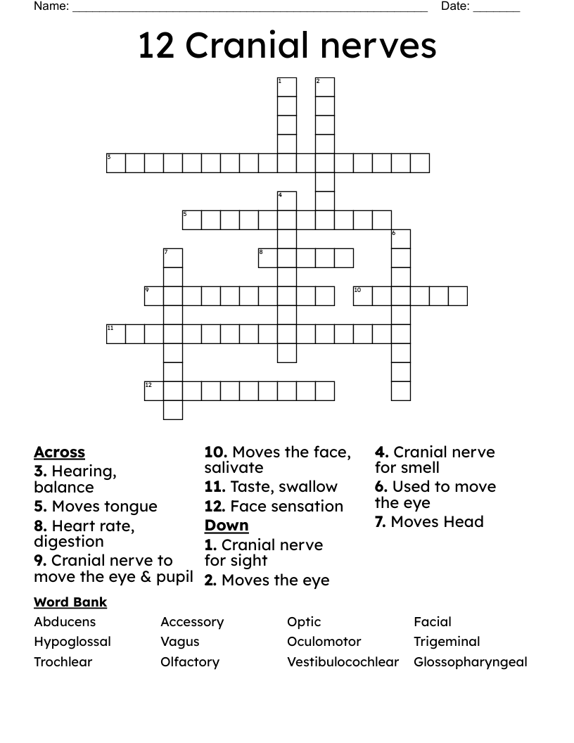 show some nerve crossword