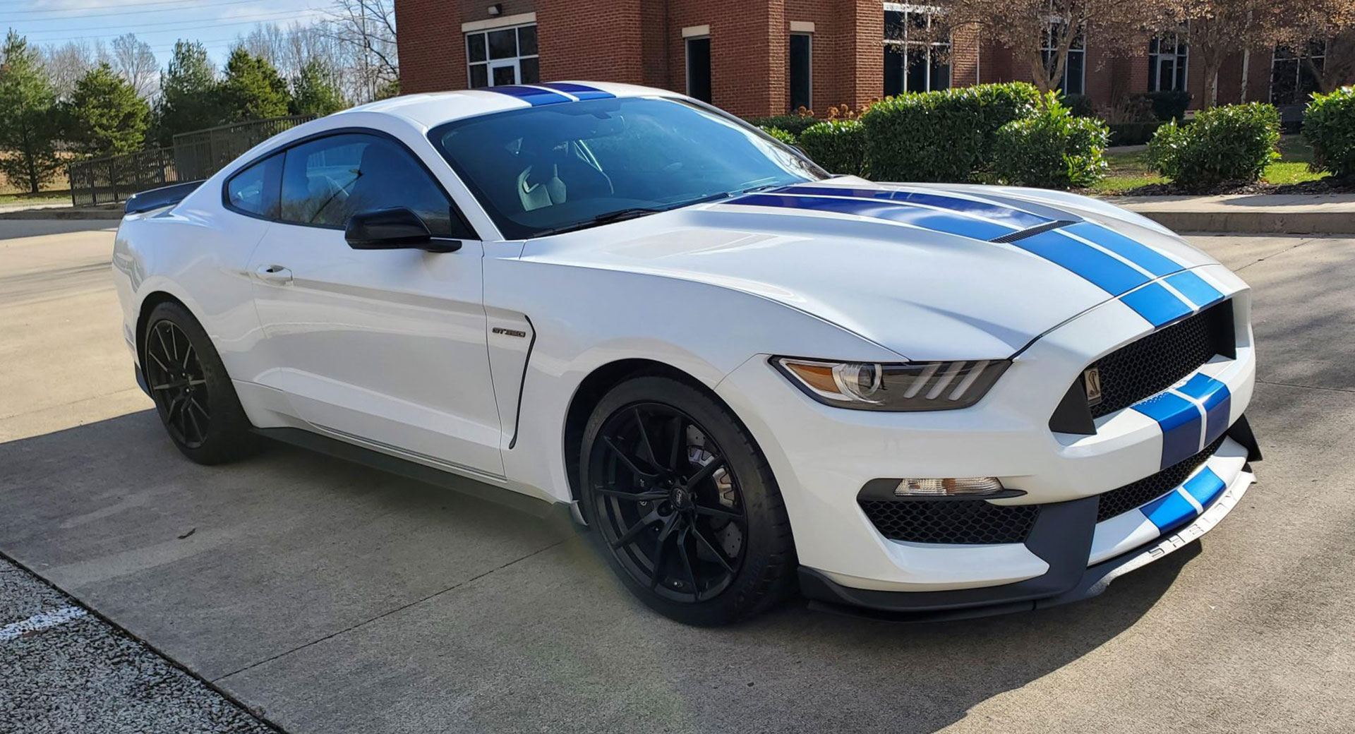 buy shelby gt350