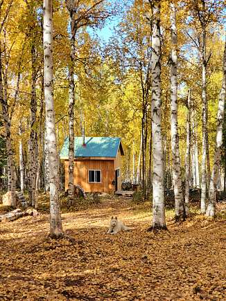 alaska property for sale off the grid