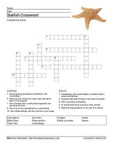 marine echinoderm crossword