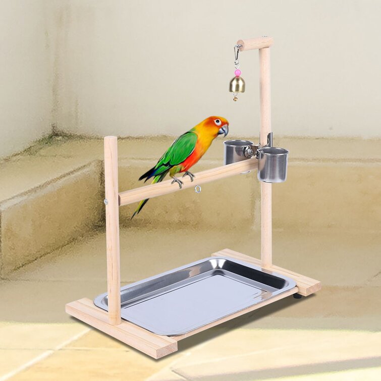 parrot stand