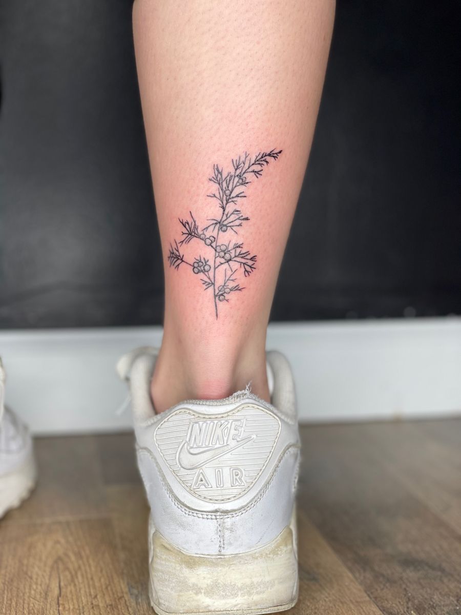 juniper branch tattoo