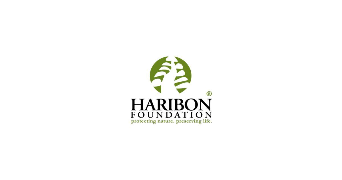 haribon foundation jobs