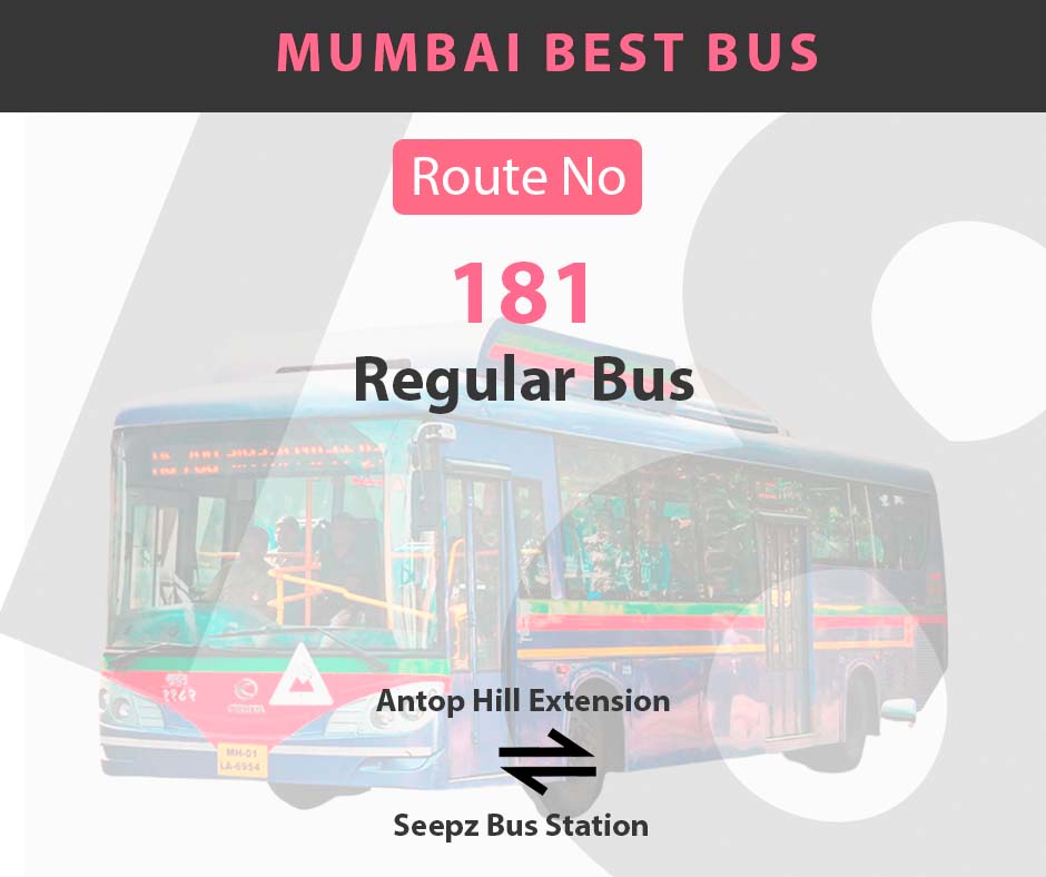 181 best bus schedule