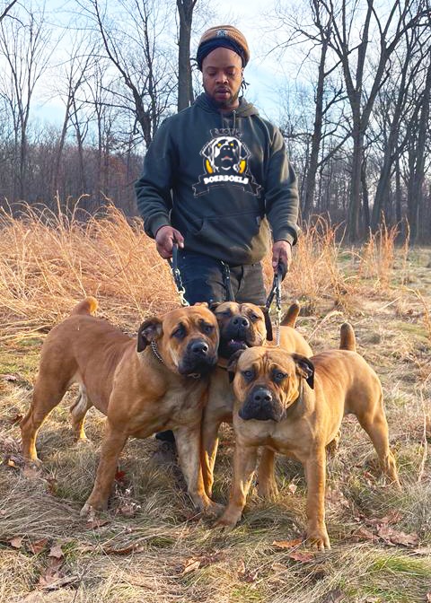 boerboel breeders canada