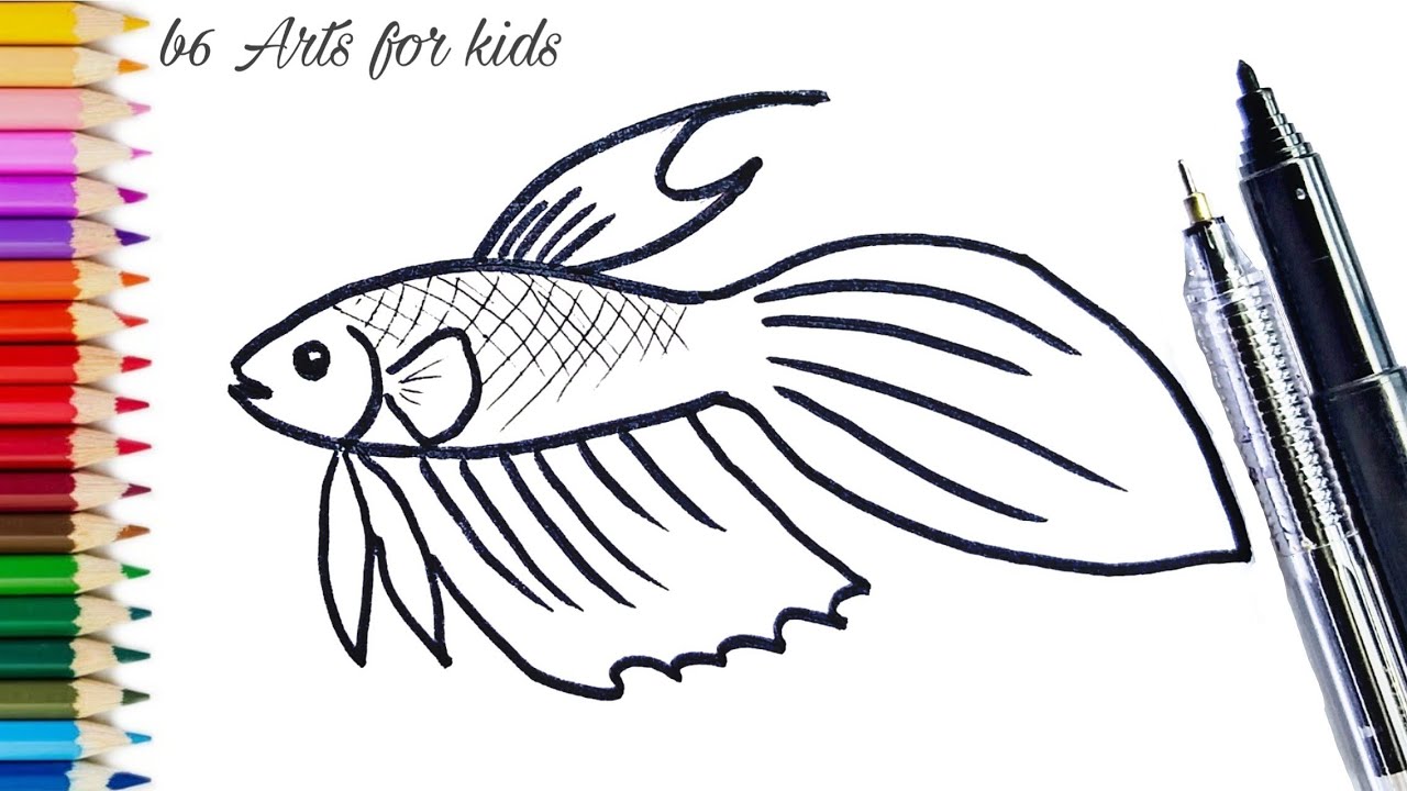 drawing of a betta fish