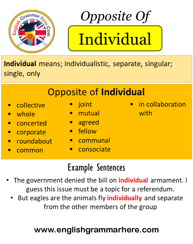 individual antonym