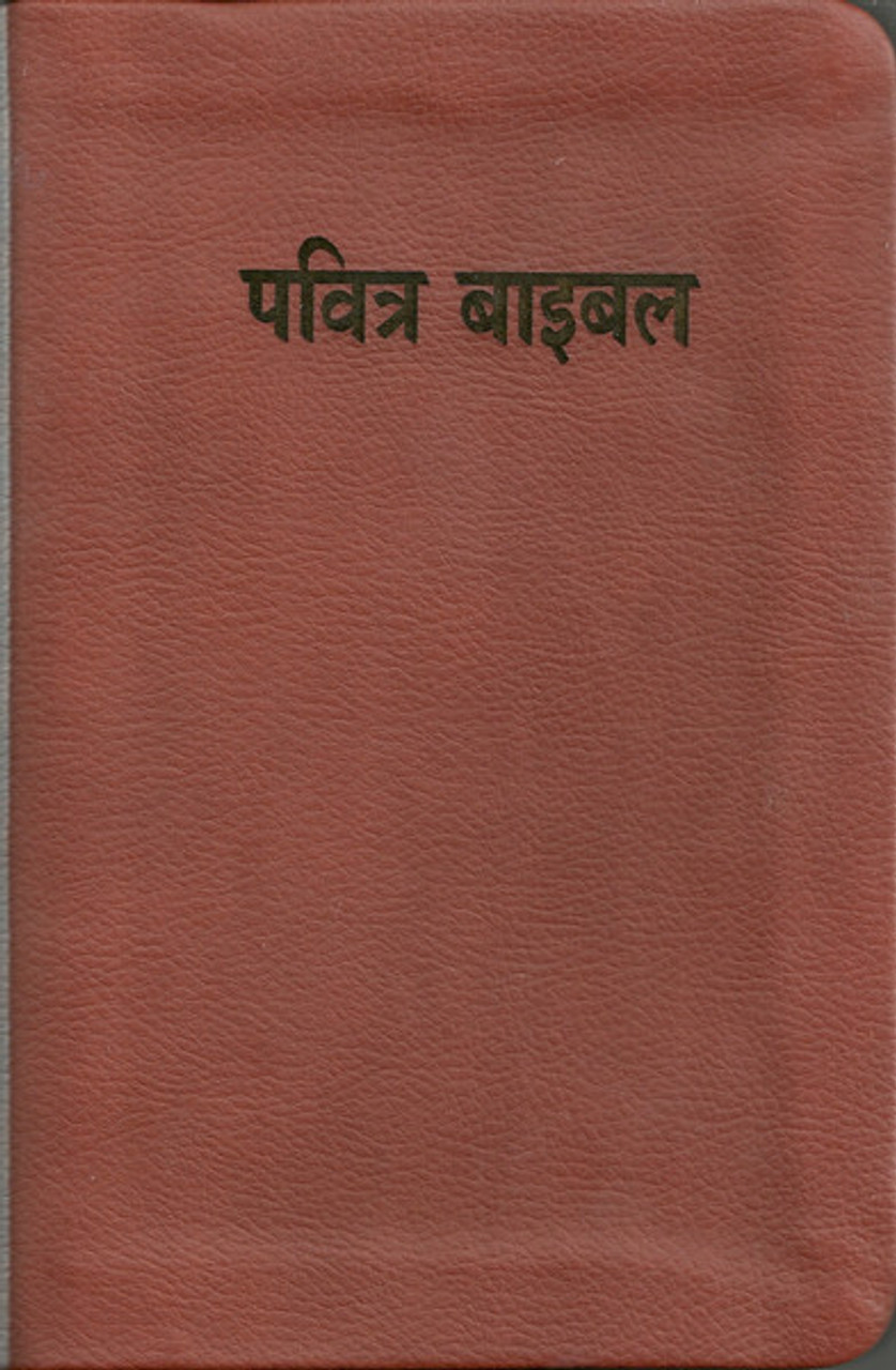 kjv bible in hindi