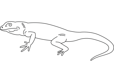 realistic lizard coloring pages