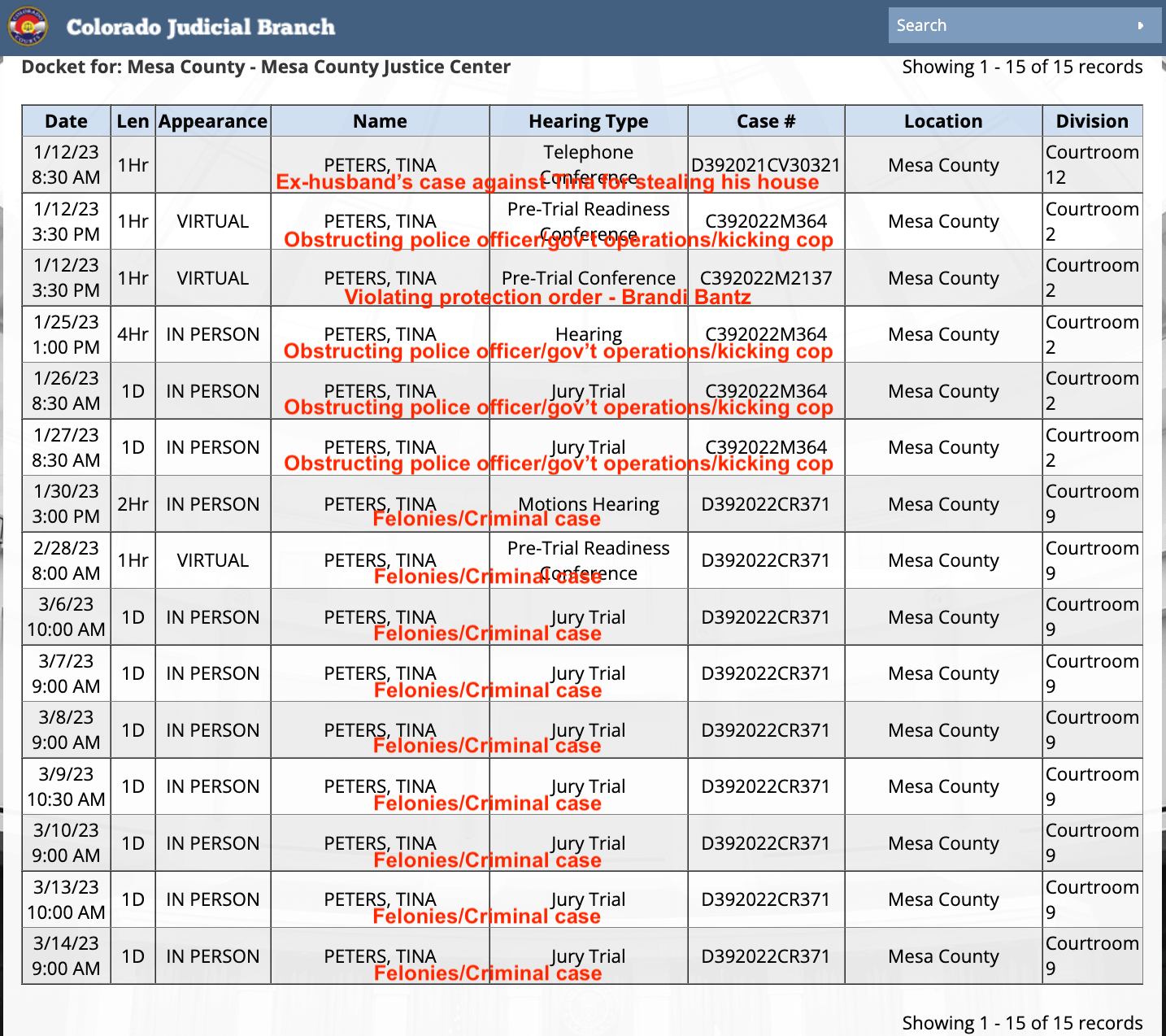 mesa county court case lookup