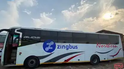 zingbus chandigarh