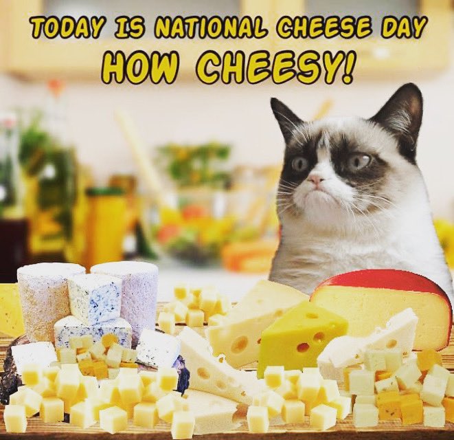 cheese lover meme