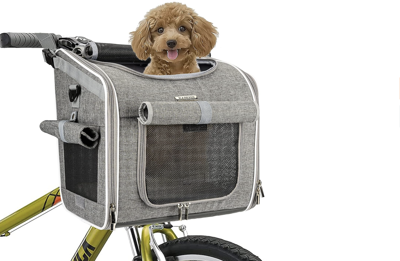 best bike dog carrier