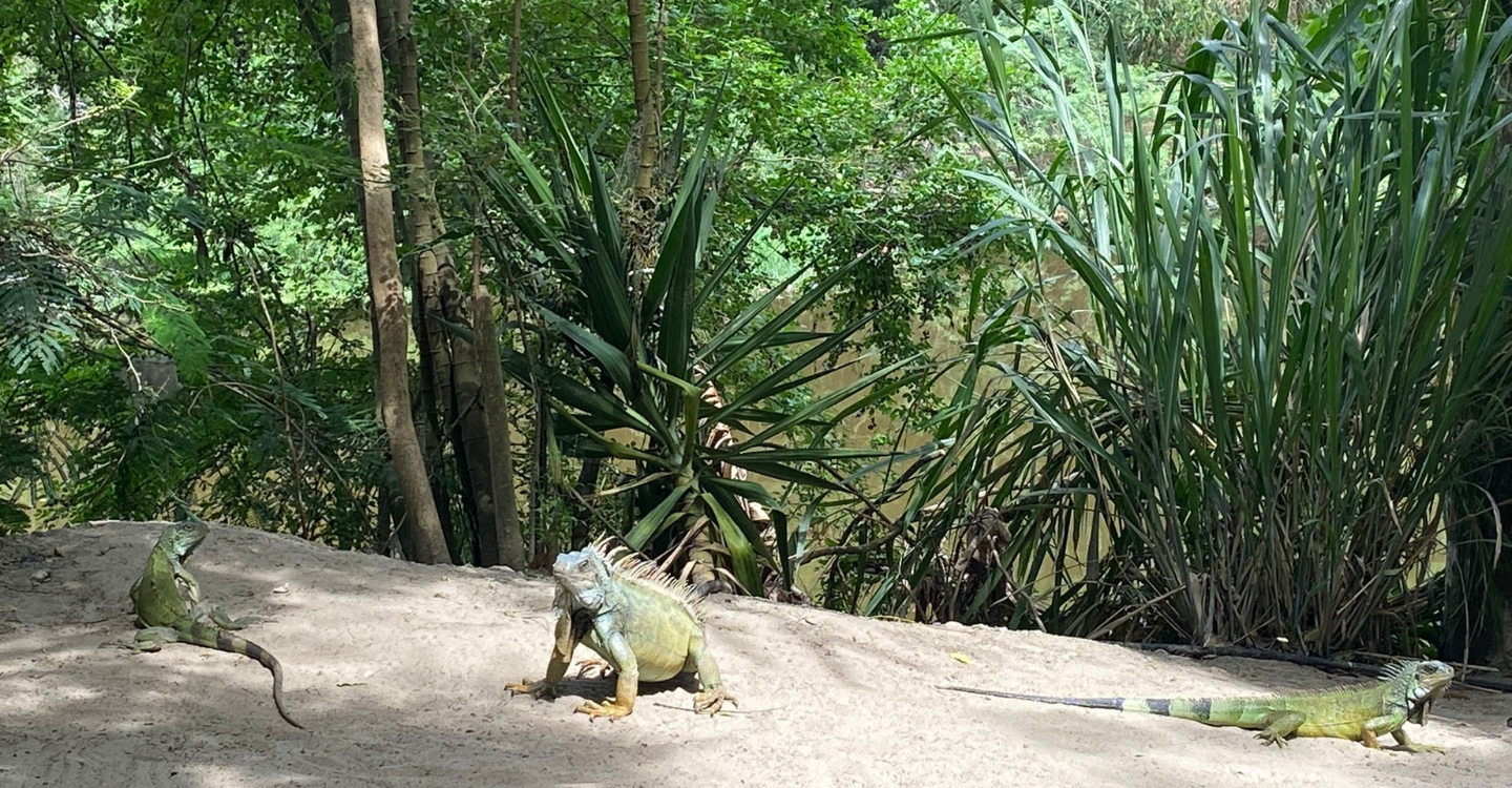 induval ecuador